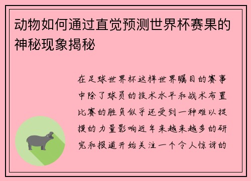动物如何通过直觉预测世界杯赛果的神秘现象揭秘