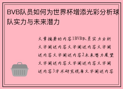 BVB队员如何为世界杯增添光彩分析球队实力与未来潜力